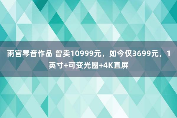 雨宫琴音作品 曾卖10999元，如今仅3699元，1英寸+可变光圈+4K直屏