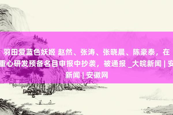 羽田爱蓝色妖姬 赵然、张涛、张晓晨、陈豪泰，在国度重心研发预备名目申报中抄袭，被通报 _大皖新闻 | 安徽网