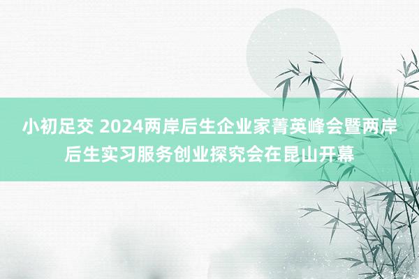 小初足交 2024两岸后生企业家菁英峰会暨两岸后生实习服务创业探究会在昆山开幕