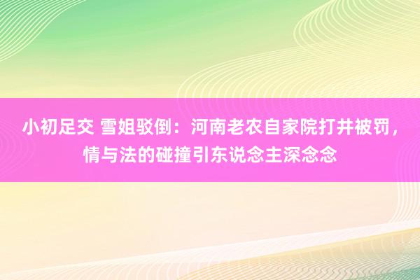 小初足交 雪姐驳倒：河南老农自家院打井被罚，情与法的碰撞引东说念主深念念