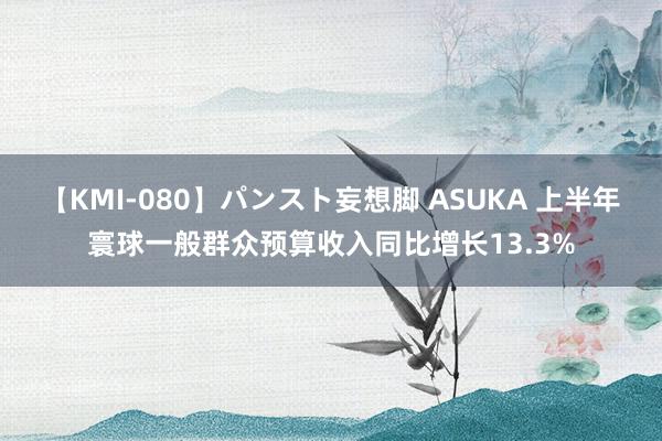 【KMI-080】パンスト妄想脚 ASUKA 上半年寰球一般群众预算收入同比增长13.3%