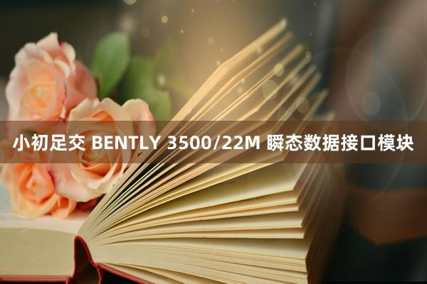 小初足交 BENTLY 3500/22M 瞬态数据接口模块