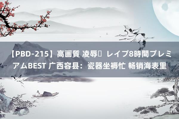 【PBD-215】高画質 凌辱・レイプ8時間プレミアムBEST 广西容县：瓷器坐褥忙 畅销海表里