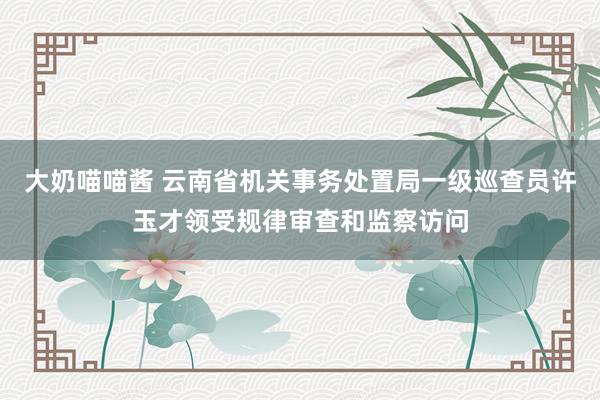 大奶喵喵酱 云南省机关事务处置局一级巡查员许玉才领受规律审查和监察访问