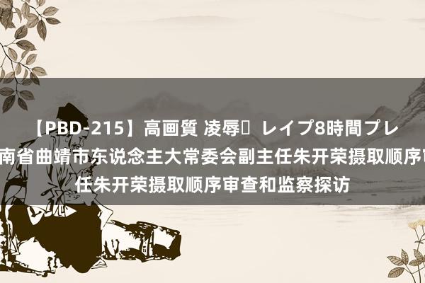 【PBD-215】高画質 凌辱・レイプ8時間プレミアムBEST 云南省曲靖市东说念主大常委会副主任朱开荣摄取顺序审查和监察探访