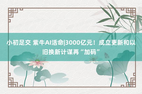 小初足交 紫牛AI活命|3000亿元！成立更新和以旧换新计谋再“加码”