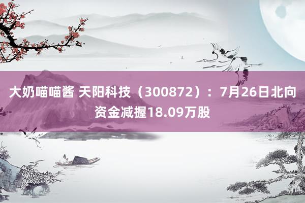 大奶喵喵酱 天阳科技（300872）：7月26日北向资金减握18.09万股