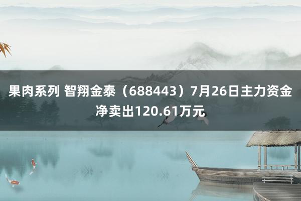 果肉系列 智翔金泰（688443）7月26日主力资金净卖出120.61万元