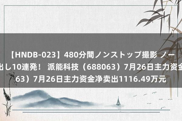 【HNDB-023】480分間ノンストップ撮影 ノーカット編集で本物中出し10連発！ 派能科技（688063）7月26日主力资金净卖出1116.49万元