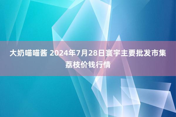 大奶喵喵酱 2024年7月28日寰宇主要批发市集荔枝价钱行情