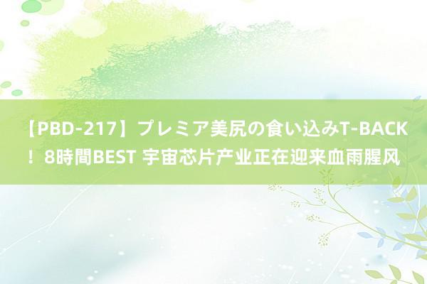 【PBD-217】プレミア美尻の食い込みT-BACK！8時間BEST 宇宙芯片产业正在迎来血雨腥风