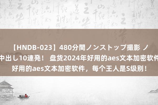 【HNDB-023】480分間ノンストップ撮影 ノーカット編集で本物中出し10連発！ 盘货2024年好用的aes文本加密软件，每个王人是S级别！