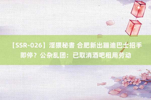 【SSR-026】淫猥秘書 合肥新出蹦迪巴士招手即停？公杂乱团：已取消酒吧租用劳动