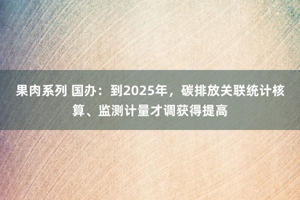 果肉系列 国办：到2025年，碳排放关联统计核算、监测计量才调获得提高