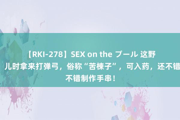 【RKI-278】SEX on the プール 这野果有臭气，儿时拿来打弹弓，俗称“苦楝子”，可入药，还不错制作手串！