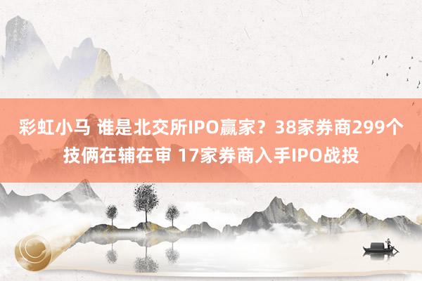 彩虹小马 谁是北交所IPO赢家？38家券商299个技俩在辅在审 17家券商入手IPO战投