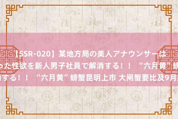 【SSR-020】某地方局の美人アナウンサーは忙し過ぎて溜まりまくった性欲を新人男子社員で解消する！！ “六月黄”螃蟹昆明上市 大闸蟹要比及9月底