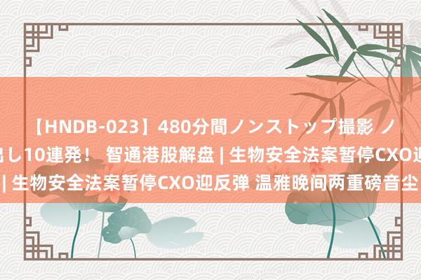 【HNDB-023】480分間ノンストップ撮影 ノーカット編集で本物中出し10連発！ 智通港股解盘 | 生物安全法案暂停CXO迎反弹 温雅晚间两重磅音尘