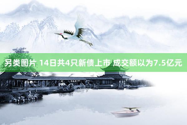 另类图片 14日共4只新债上市 成交额以为7.5亿元