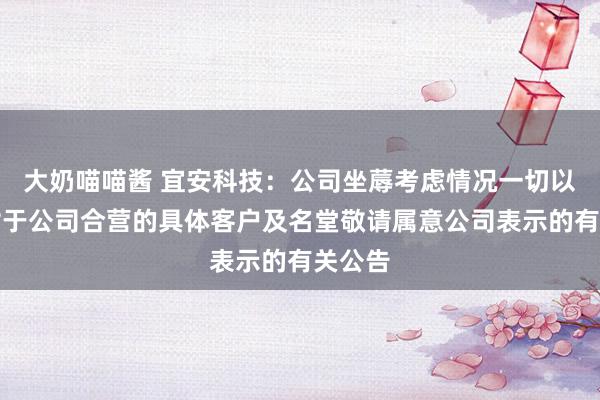 大奶喵喵酱 宜安科技：公司坐蓐考虑情况一切以前，对于公司合营的具体客户及名堂敬请属意公司表示的有关公告