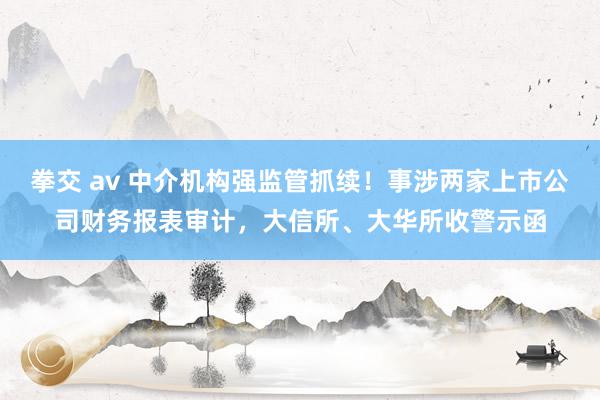 拳交 av 中介机构强监管抓续！事涉两家上市公司财务报表审计，大信所、大华所收警示函