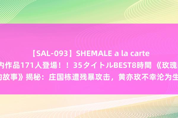 【SAL-093】SHEMALE a la carteの歴史 2008～2011 国内作品171人登場！！35タイトルBEST8時間 《玫瑰的故事》揭秘：庄国栋遭残暴攻击，黄亦玫不幸沦为生养用具，方协文本事惊东谈主！