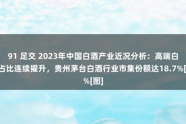 91 足交 2023年中国白酒产业近况分析：高端白酒占比连续擢升，贵州茅台白酒行业市集份额达18.7%[图]