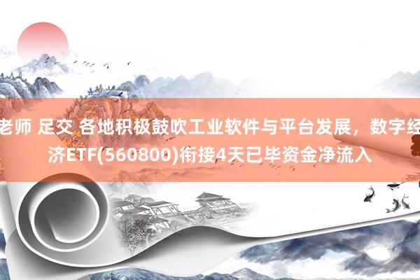 老师 足交 各地积极鼓吹工业软件与平台发展，数字经济ETF(560800)衔接4天已毕资金净流入