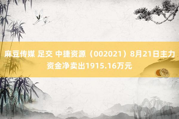 麻豆传媒 足交 中捷资源（002021）8月21日主力资金净卖出1915.16万元