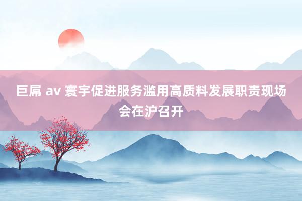 巨屌 av 寰宇促进服务滥用高质料发展职责现场会在沪召开