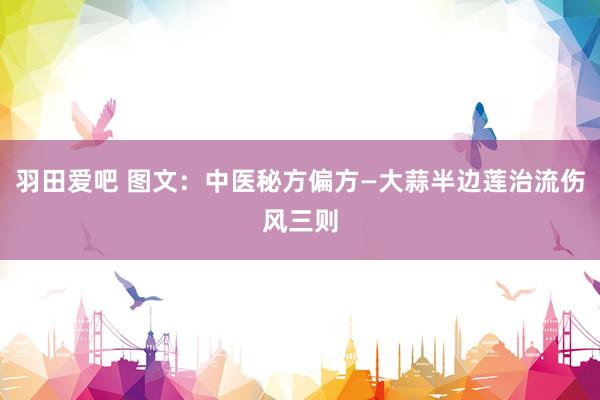 羽田爱吧 图文：中医秘方偏方—大蒜半边莲治流伤风三则