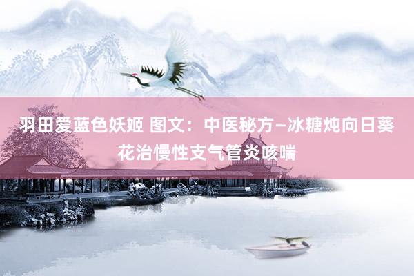 羽田爱蓝色妖姬 图文：中医秘方—冰糖炖向日葵花治慢性支气管炎咳喘